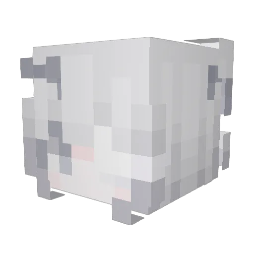 robloxFighter200 Minecraft avatar head, 3D render