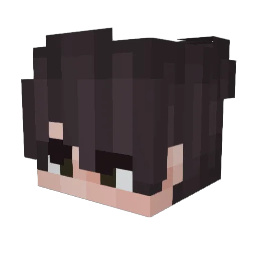 robodoggiereal Minecraft avatar head, 3D render