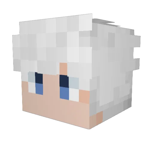 robolix11 Minecraft avatar head, 3D render