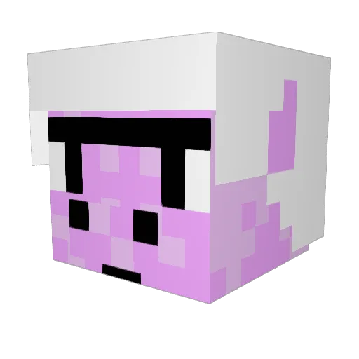roborocks13 Minecraft avatar head, 3D render