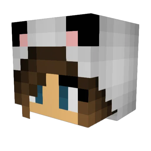 robot_r Minecraft avatar head, 3D render