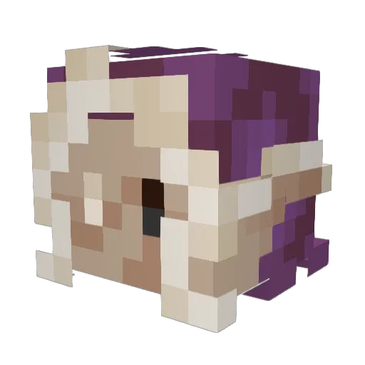 robot_waffles Minecraft avatar head, 3D render