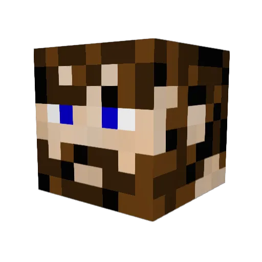 robotboy49 Minecraft avatar head, 3D render