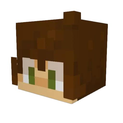 robotboy89 Minecraft avatar head, 3D render