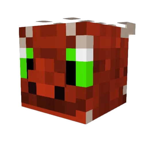 roboticfoozball Minecraft avatar head, 3D render