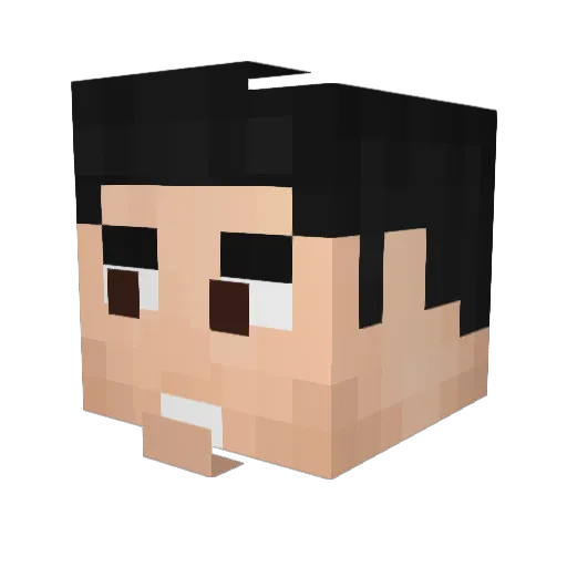 Minecraft-Avatar von robotkoer: Kopf als 3D-Render