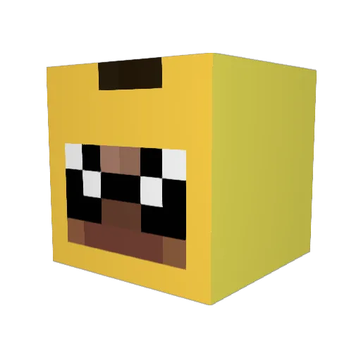 robotmaster687 Minecraft avatar head, 3D render