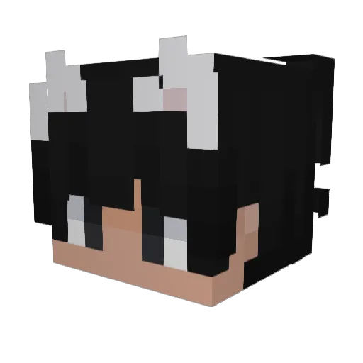 robottikana Minecraft avatar head, 3D render