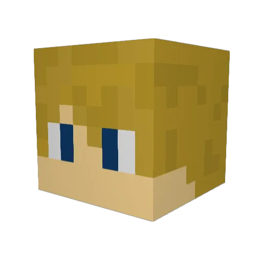 robridges1 Minecraft avatar head, 3D render