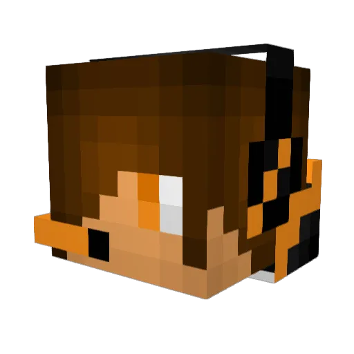 robs21211 Minecraft avatar head, 3D render
