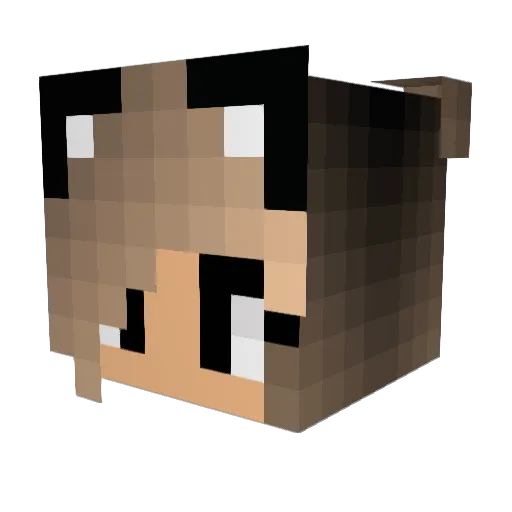 robswiece Minecraft avatar head, 3D render