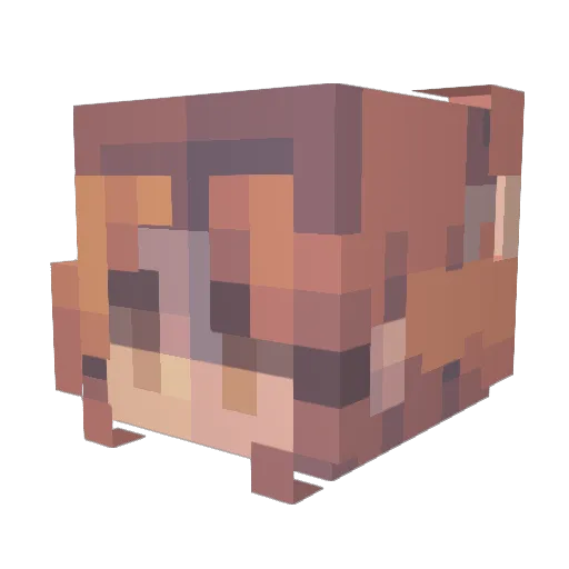 robtangerine Minecraft avatar head, 3D render