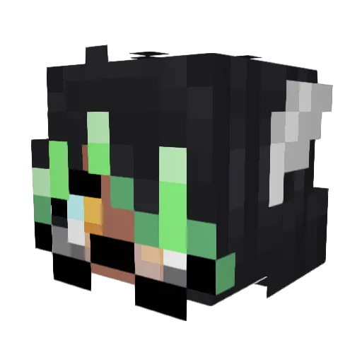 robubby Minecraft avatar head, 3D render