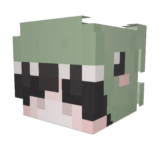 robythemaster Minecraft avatar head, 3D render