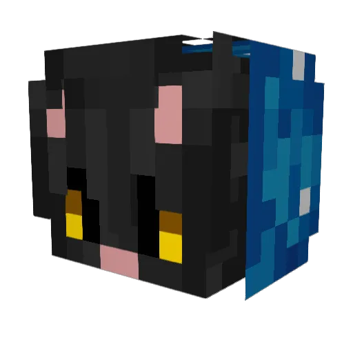 robz_sacrr_ Minecraft avatar head, 3D render
