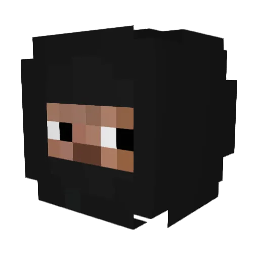 roccoakaxfv Minecraft avatar head, 3D render