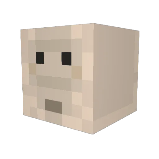 roccoga123456 Minecraft avatar head, 3D render