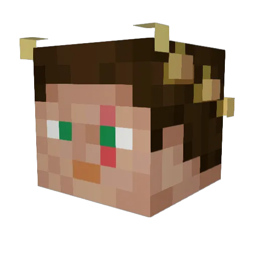 roccoroccorocco Minecraft avatar head, 3D render