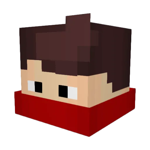 roccotoad Minecraft avatar head, 3D render