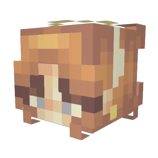 rochelleerooo Minecraft avatar head, 3D render
