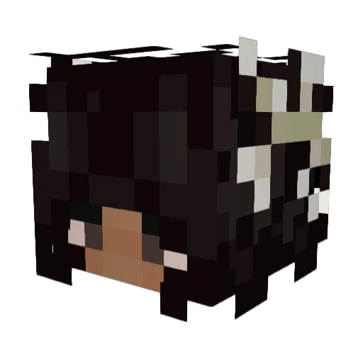 rochellyy Minecraft avatar head, 3D render