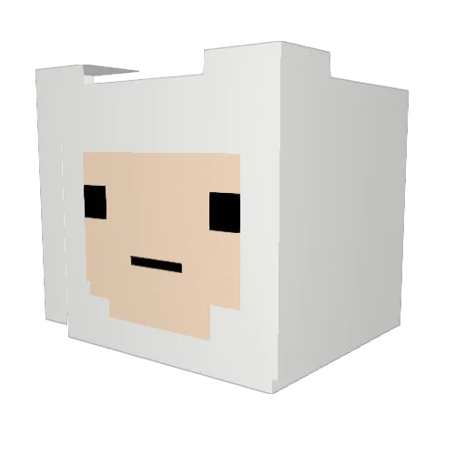 rocildsssz Minecraft avatar head, 3D render