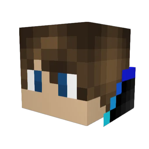 rockdahouse66 Minecraft avatar head, 3D render