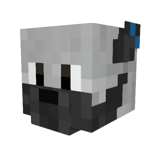 rocket9678 Minecraft avatar head, 3D render