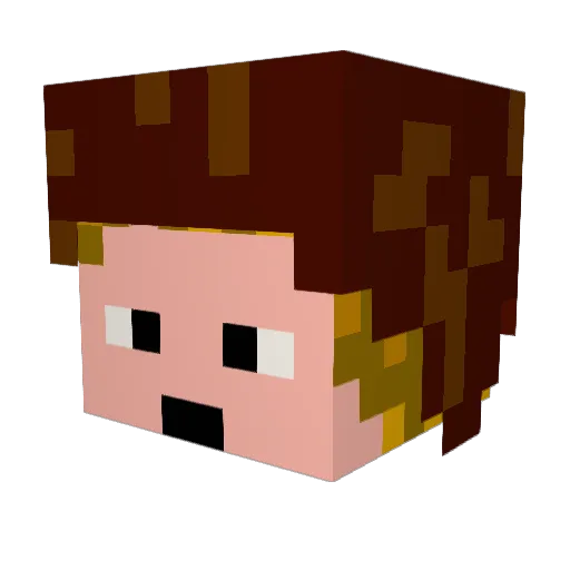 rocketdog13 Minecraft avatar head, 3D render