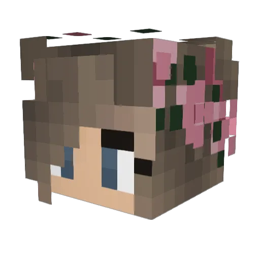 rocketman971 Minecraft avatar head, 3D render