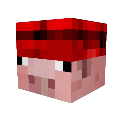 rocketpig3 Minecraft avatar head, 3D render