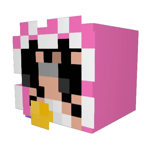 rocketpro905 Minecraft avatar head, 3D render