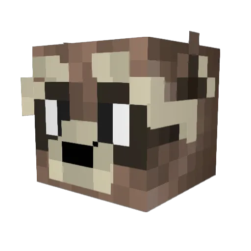 rocketracc19 Minecraft avatar head, 3D render