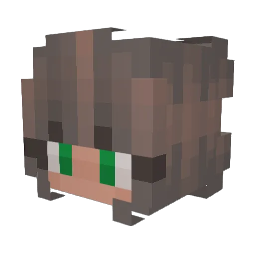 rockettopluto Minecraft avatar head, 3D render
