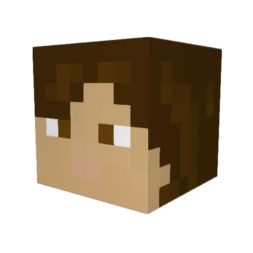 rockinsockin123 Minecraft avatar head, 3D render