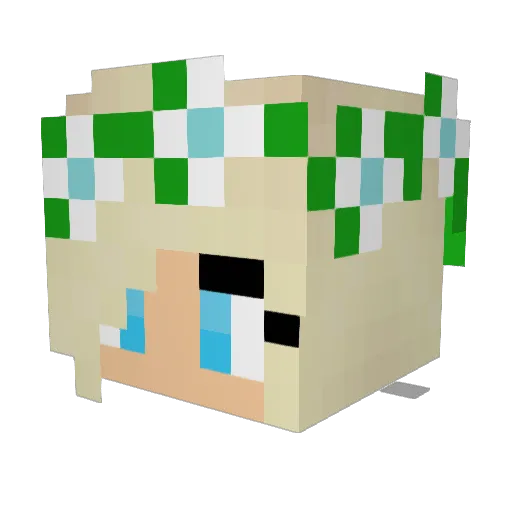 rocknrollninja Minecraft avatar head, 3D render