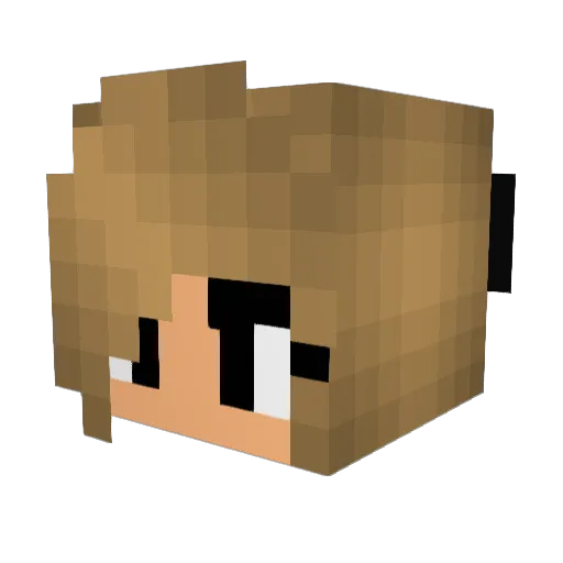 rocks0304 Minecraft avatar head, 3D render