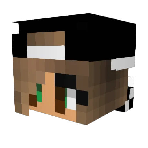 rockstargirl_ Minecraft avatar head, 3D render