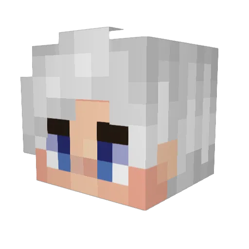rocky1991 Minecraft avatar head, 3D render