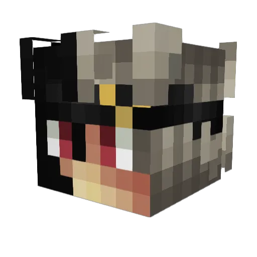 rocky3135 Minecraft avatar head, 3D render