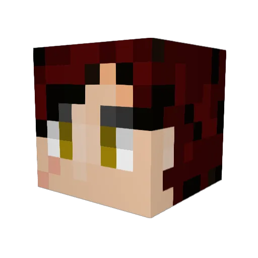rocky316 Minecraft avatar head, 3D render