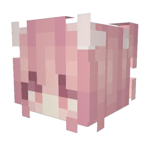 rocky_penguin Minecraft avatar head, 3D render