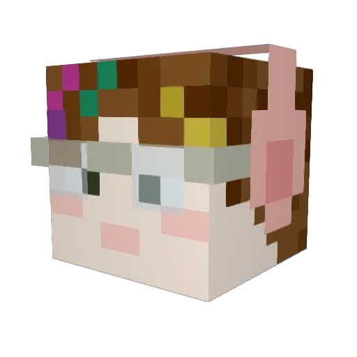 rockyraindrops Minecraft avatar head, 3D render