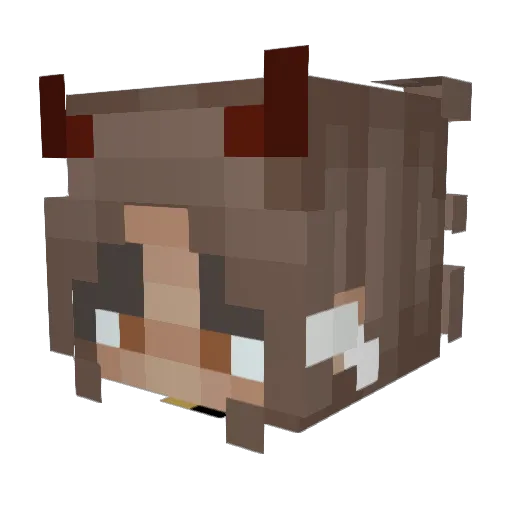 roco_coco Minecraft avatar head, 3D render