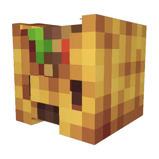 rocotaco1223 Minecraft avatar head, 3D render