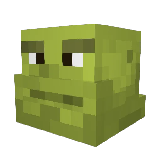 rodepop27 Minecraft avatar head, 3D render