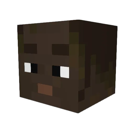 rodrigaaoo Minecraft avatar head, 3D render