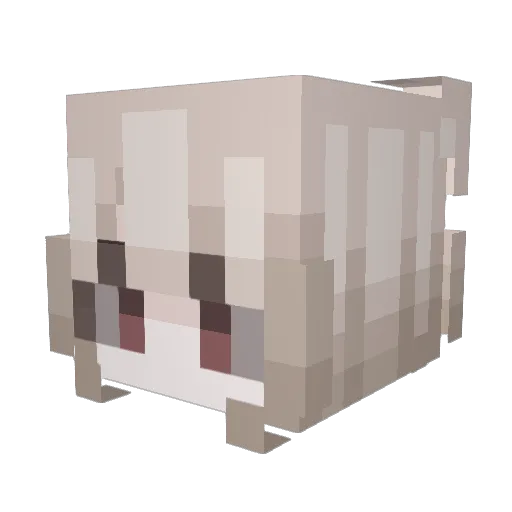 rodsuperstar Minecraft avatar head, 3D render