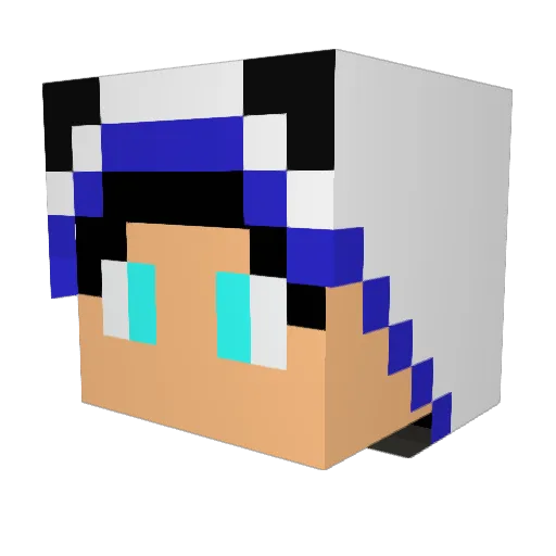 roee1vis Minecraft avatar head, 3D render