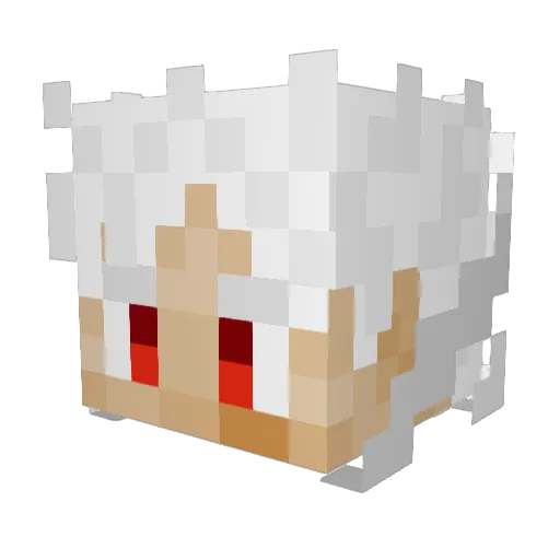 roeiieor Minecraft avatar head, 3D render